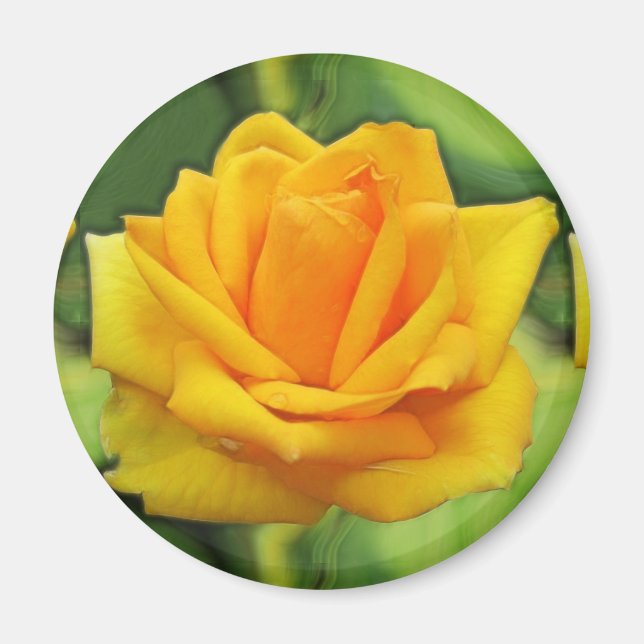 Aimant Rose jaune (Devant)