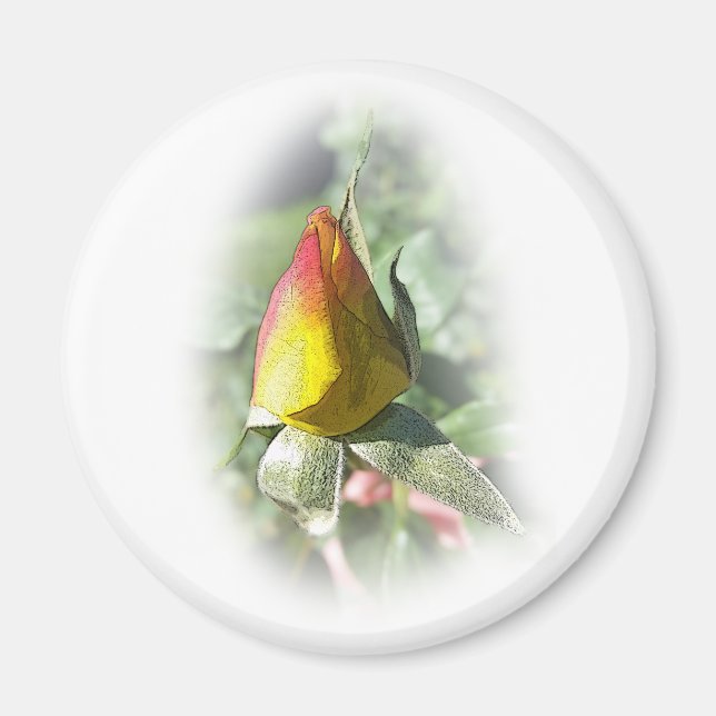 Aimant rose jaune (Devant)