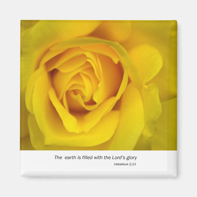Aimant Rose jaune (Devant)