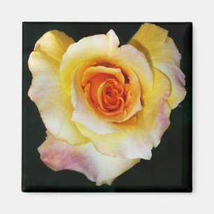 Aimant Rose jaune en forme de coeur