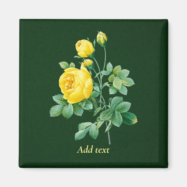 Aimant Rose jaune et Modèle Rosebustes (Devant)