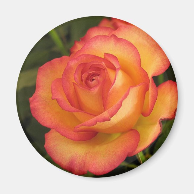 Aimant Rose orange (Devant)