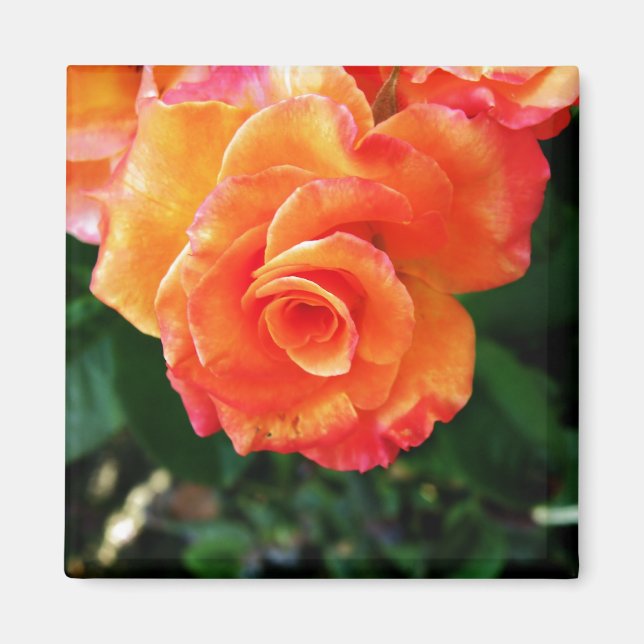 Aimant Rose orange (Devant)