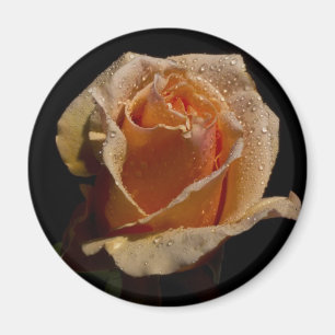 Aimant Rose orange 1