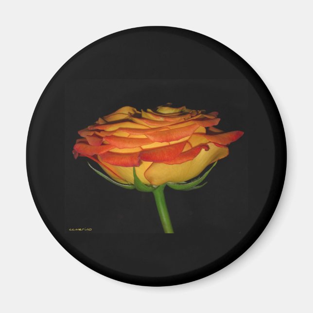 Aimant rose orange et jaune (Devant)
