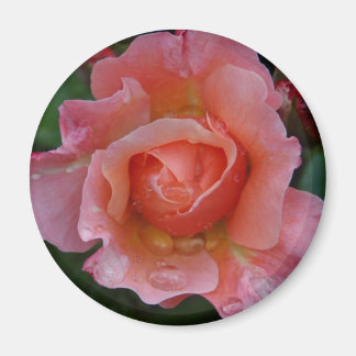 Aimant - Rose rose