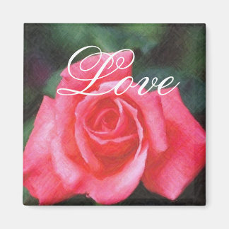 Aimant rose rose coutume Amour