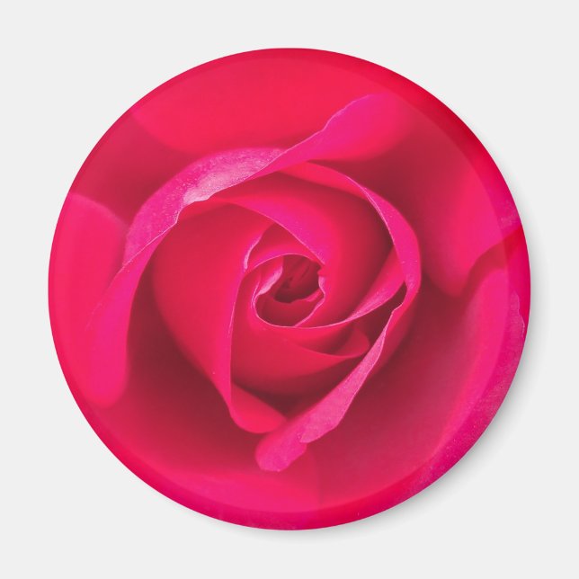 Aimant Rose rose romantique rouge v2 (Devant)