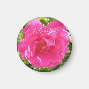 Aimant Rose rose rose