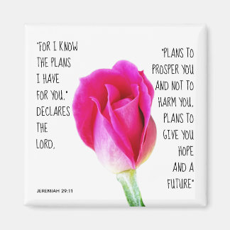 Aimant Rose rose, verset de Jérémie 29:11