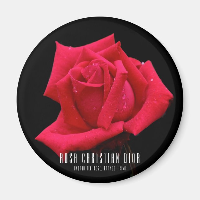 Aimant Rose rouge (Devant)