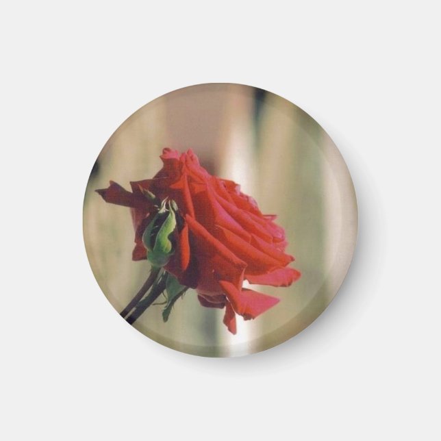 Aimant Rose rouge (Devant)