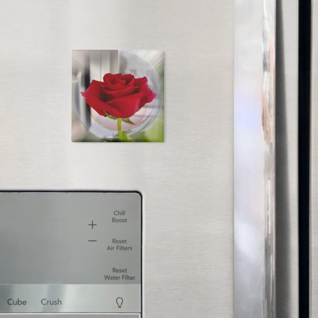 Aimant Rose rouge 2 (In situ (réfrigérateur))