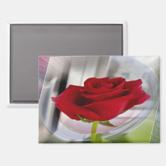 Aimant Rose rouge 2