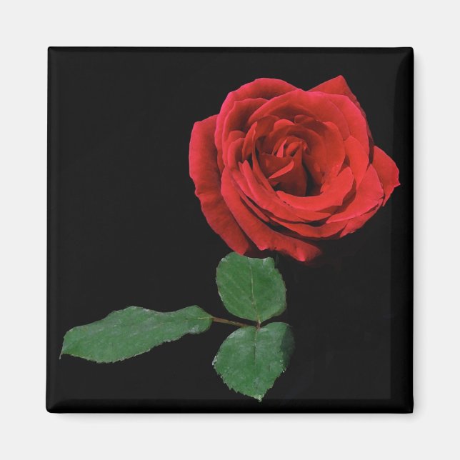 Aimant Rose rouge simple (Devant)