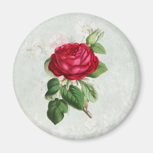 Aimant Rose rouge vintage (Devant)
