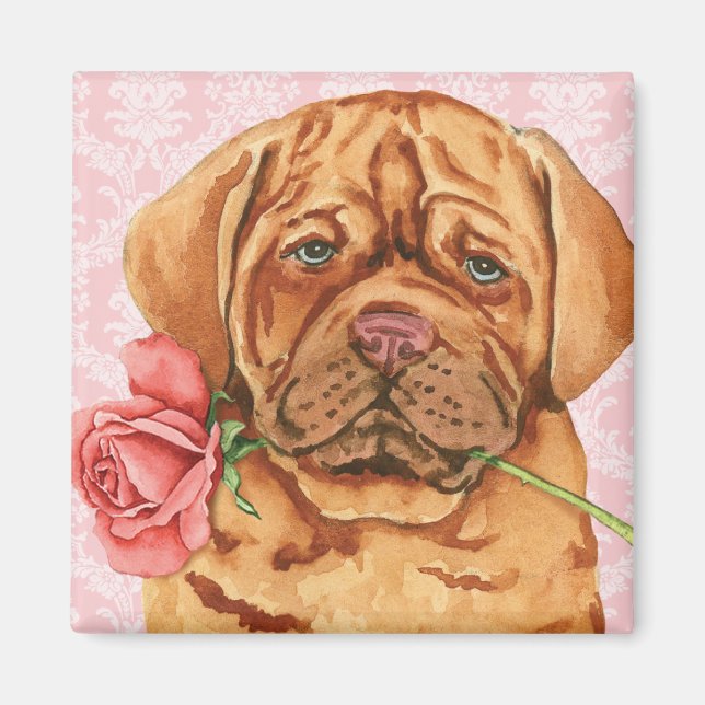 Aimant Rose Valentin Dogue de Bordeaux (Devant)