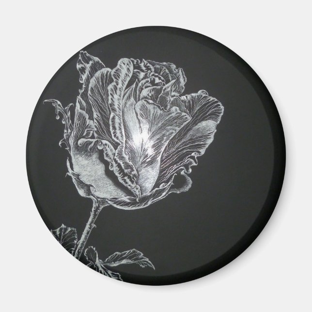 Aimant Rosebud (Devant)