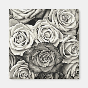 Aimant Roses noires et blanches