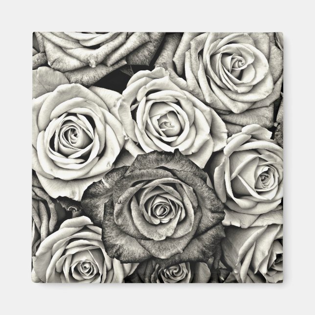 Aimant Roses noires et blanches (Devant)