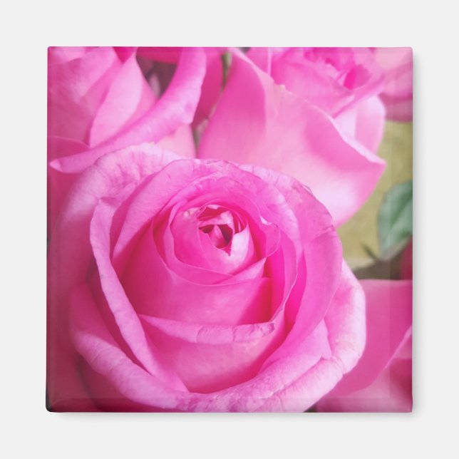 Aimant Roses roses vives (Devant)