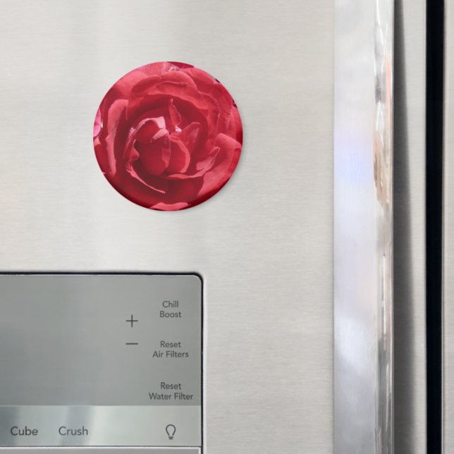 Aimant Roses rouges (In situ (réfrigérateur))