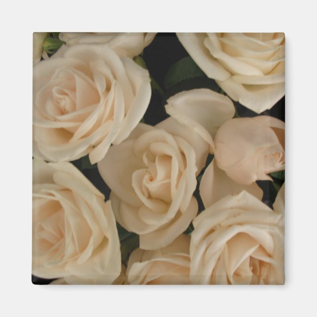 Aimant Roses sur le réfrigérateur (Devant)