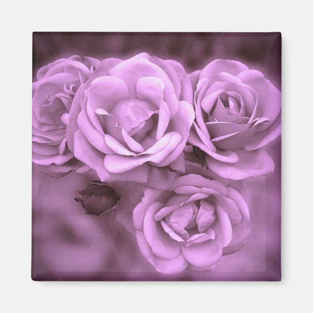 Aimant Roses Vintages violets (Devant)