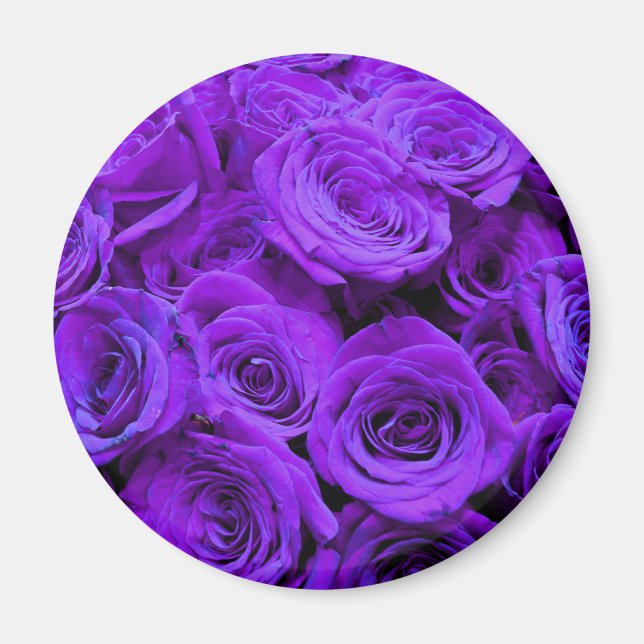 Aimant roses violet romantique, joli bouquet de rose (Devant)
