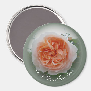 Aimant Rosier Abricot En Fleurs Avec Vignette Verte