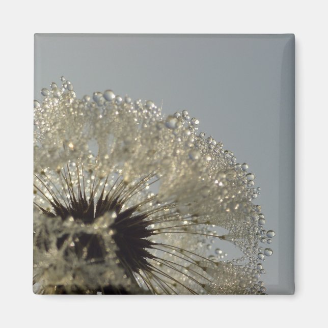 Aimant Roue de gouttelettes (Devant)