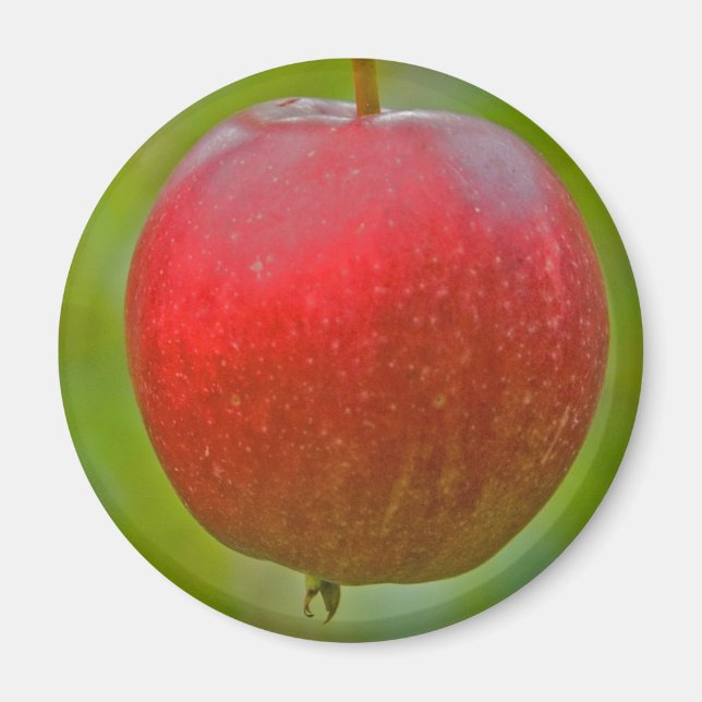 Aimant Rouge d'été Apple (Devant)