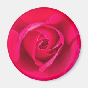 Aimant Rouge romantique Rose rose v2