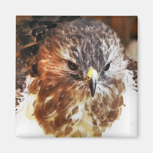 AIMANT ROUGE TAILLÉ HAWK