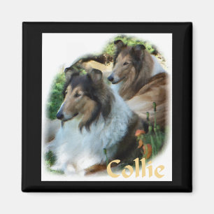Aimant Rough Collie Art Don
