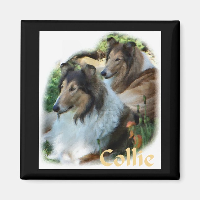 Aimant Rough Collie Art Don (Devant)