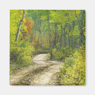 Aimant Route aux couleurs automnales et aux aspérités 