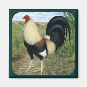 Aimant Route Pays Gamecock