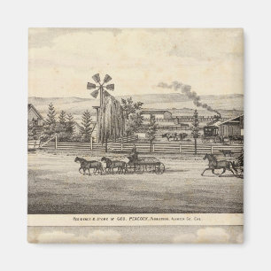 Aimant Rres de Peacock, Willow Glen