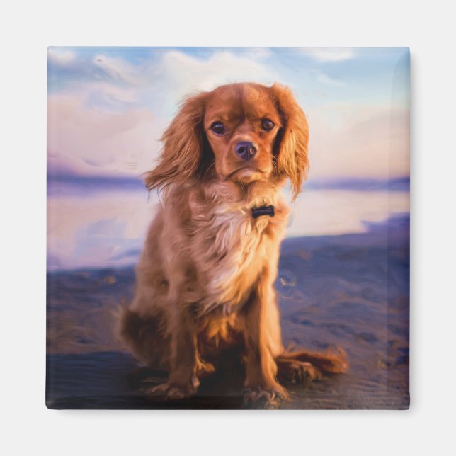 Aimant Ruby Cavalier King Charles Spaniel au coucher du s (Devant)