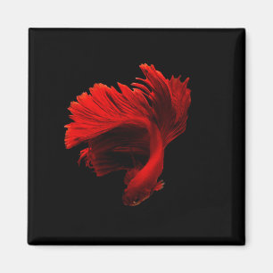 Aimant Ruby Red Siamese Lutter contre le poisson