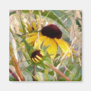 Aimant Rudbeckia et Co