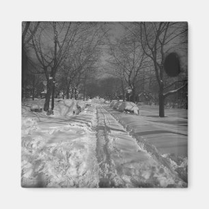 Aimant Rue résidentielle de Snowy