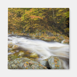 Aimant Ruisseau Rugissant en automne dans les montagnes V
