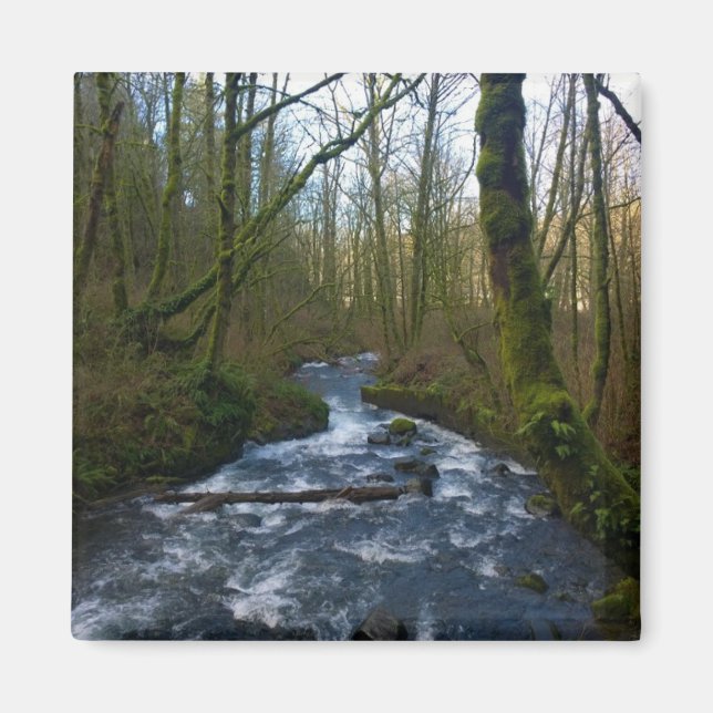 Aimant Running de Bridal Veil Falls, Oregon (Devant)