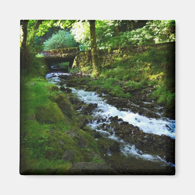 Aimant Runoff de Wahkeena Falls, Oregon (Devant)