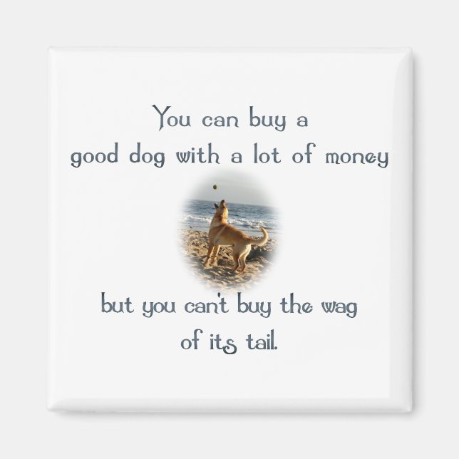 Aimant Sac de la queue (Devant)