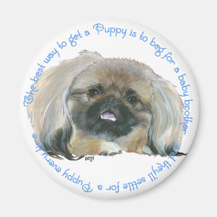 Aimant Sagesse de Pékin - Comment obtenir un chiot