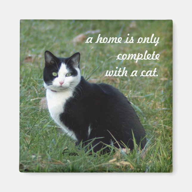 Aimant sagesse du chat (Devant)
