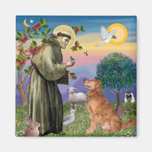 Aimant Saint François - Golden Retriever (#1)